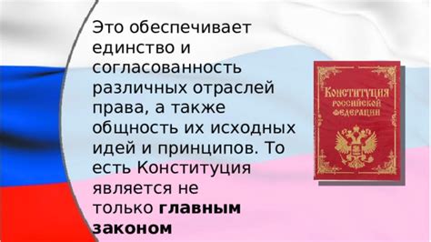 Основные принципы конституции