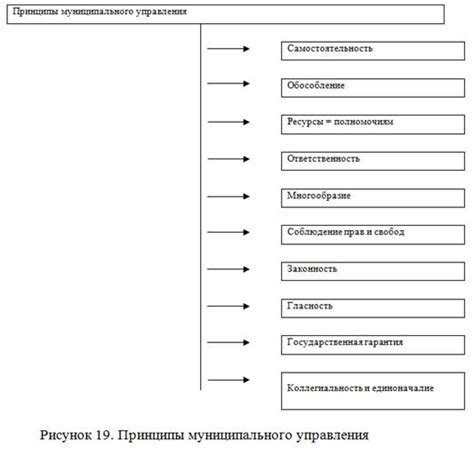 Основные принципы муниципального управления