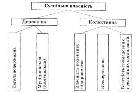 Основные принципы общественной собственности