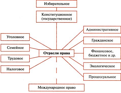 Основные принципы обычного права