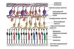 Основные причины отслоения наждачки