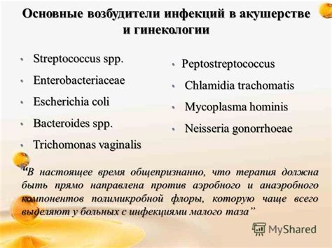 Основные причины развития Bacteroides spp у женщин