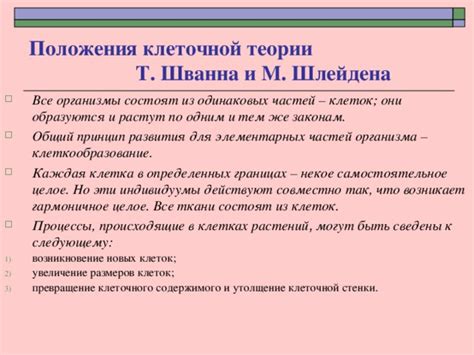 Основные проблемы и несостыковки в плане Шлейдена