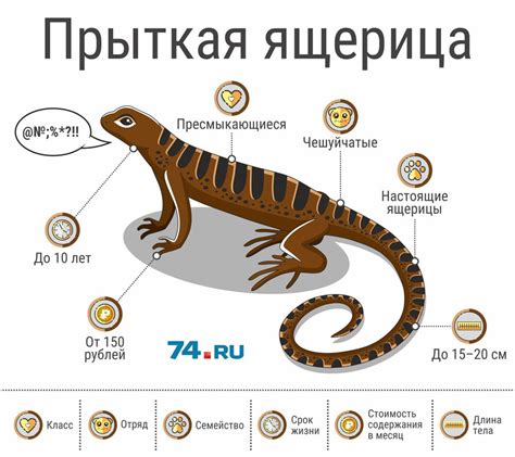 Основные продукты питания ящериц