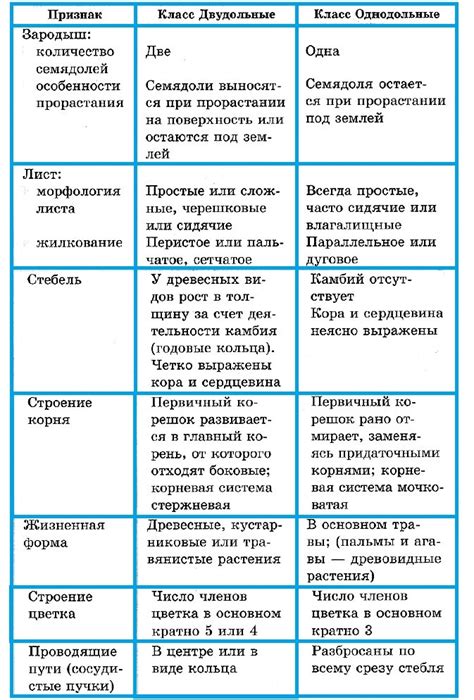 Основные различия между иином и бином