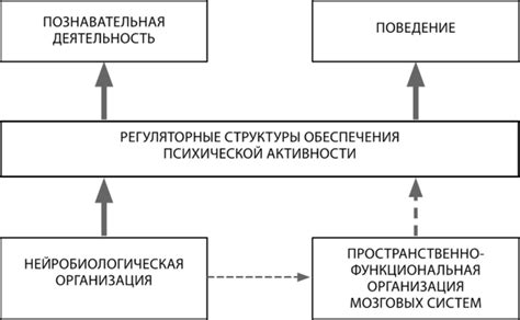 Основные симптомы парциальной недостаточности вербального компонента деятельности