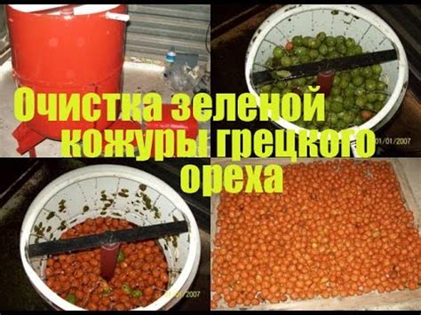 Основные способы очистки грецкого ореха