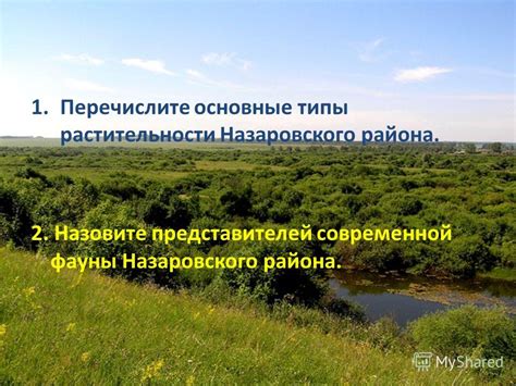 Основные типы фауны