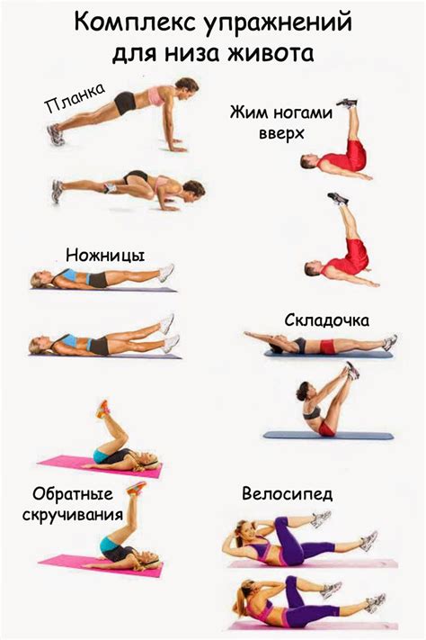 Основные упражнения тренировки All body