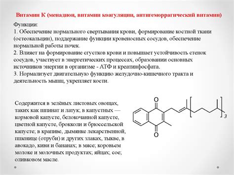 Основные функции витаминов