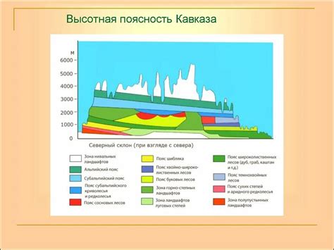 Основные характеристики высотной поясности в Кавказских горах