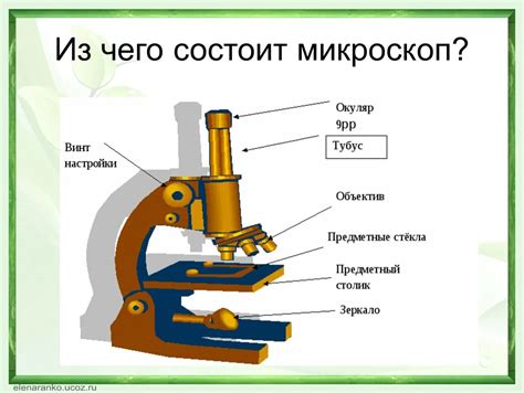 Основные части микроскопа для детей