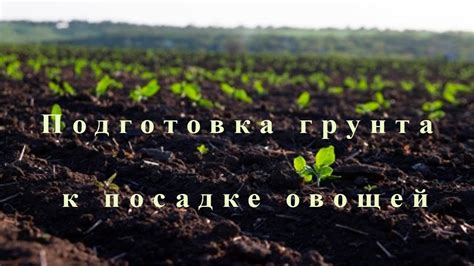 Основные этапы восстановления грунта