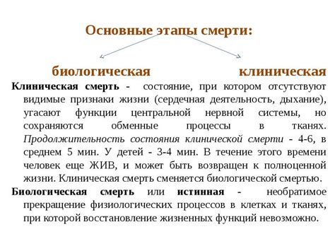 Основные этапы смерти