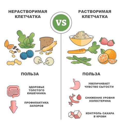 Основы отрубей и клетчатки