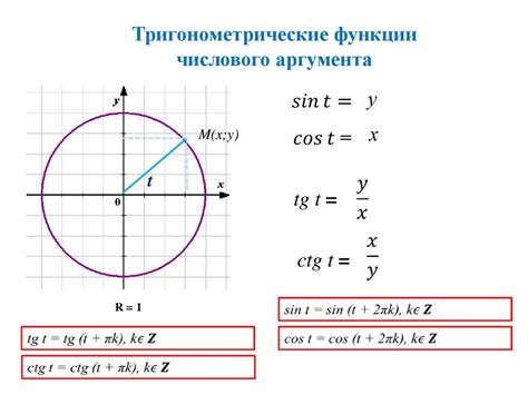 Основы тригонометрии: принципы и приложения