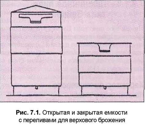 Особенности верхового брожения