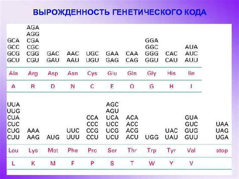 Особенности генетического состава химеры