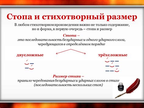 Особенности дактилического стиха в литературе шестого класса