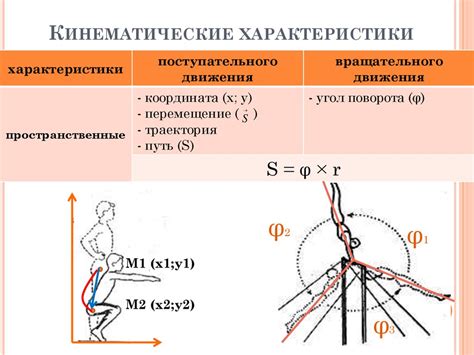 Особенности движения роялистов