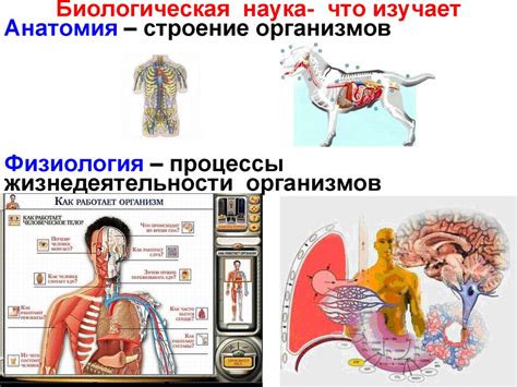 Особенности изучения систем органов