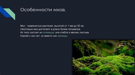 Особенности мхов в целом