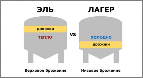 Особенности низового брожения