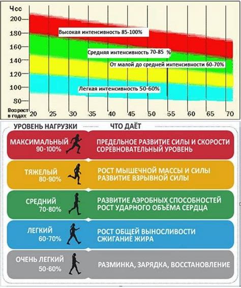 Особенности определения пульса у спортсменов