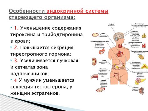 Особенности организма