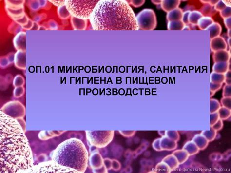 Особенности патогенных микроорганизмов