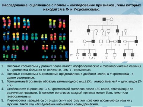 Особенности передачи генов отца, связанные с заболеваниями