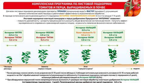 Особенности подкормки и удобрения