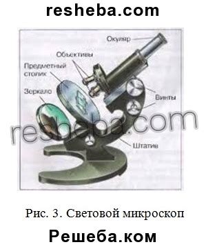 Особенности под лупой