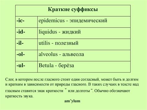 Особенности сингуляриса и плюралиса в латинском языке