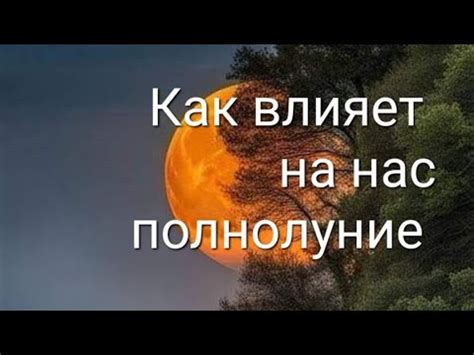 Остерегайтесь негативного влияния полнолуния: основные мифы и реальность