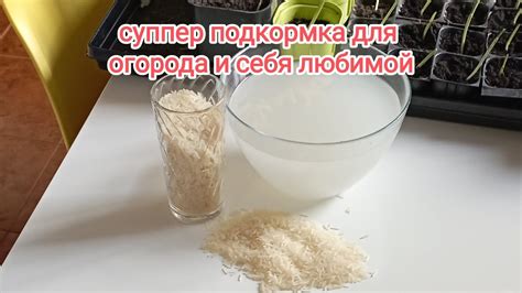 Отвар из льна и рисовая вода