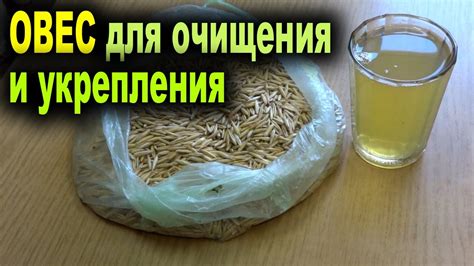 Отвар из овса для контроля веса