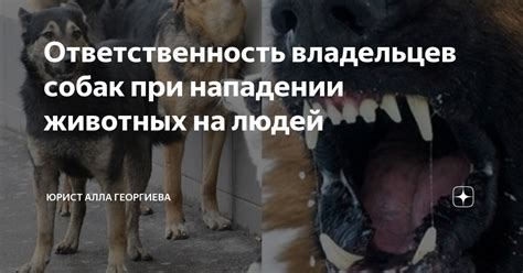 Ответственность владельцев животных