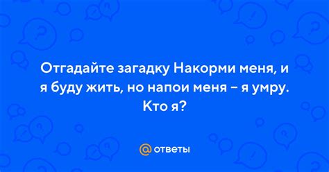 Ответ на загадку: Жизнь