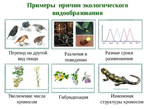 Открытие новых видов и гибридизация