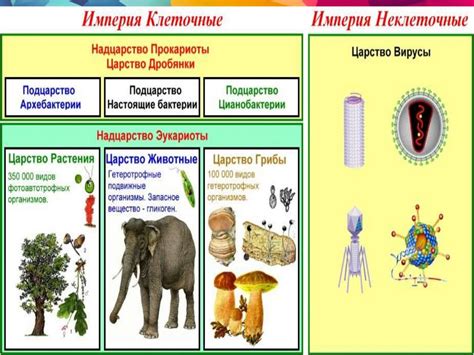 Откуда появилось разнообразие животных организмов?