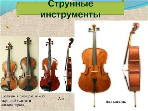 Отличие скрипки от виолончели