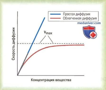 Отличия между простой и облегченной диффузией