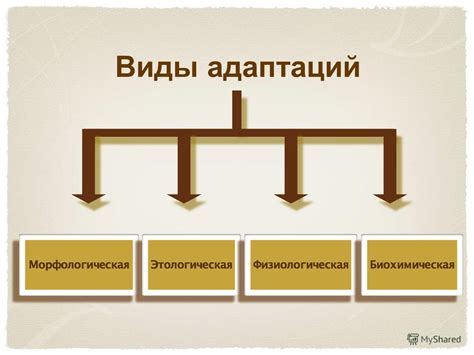 Отличия первоисточника от адаптации