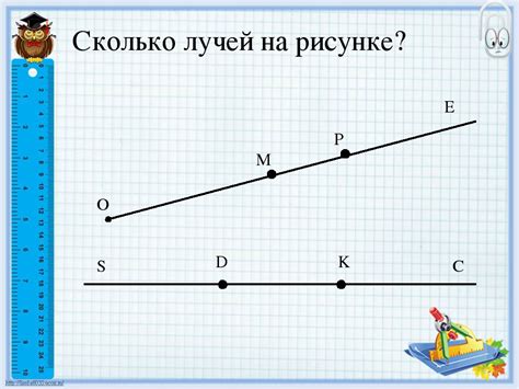 Отрезок: определение и характеристики