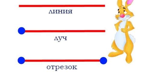 Отрезок и луч: различия и связь