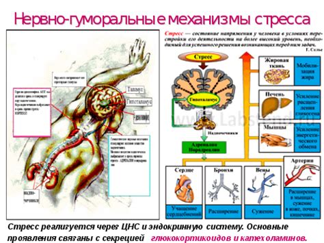 Отрицательная эмоциональная реакция на общение