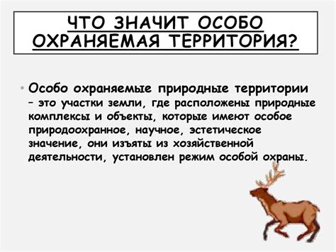 Охраняемая территория: что может произойти, если проникнуть