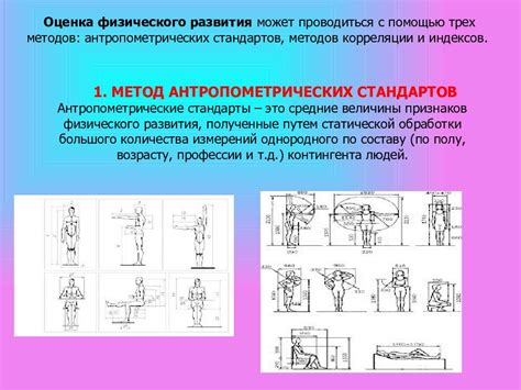 Оценка физического состояния адсорбента