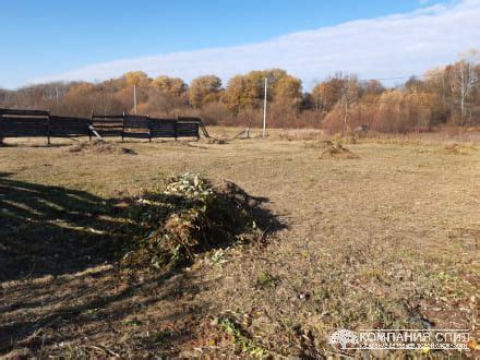 Очищение выбранного участка от сорняков